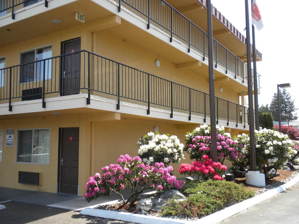 בלינגהאם Morningglory Inn & Suites מראה חיצוני תמונה