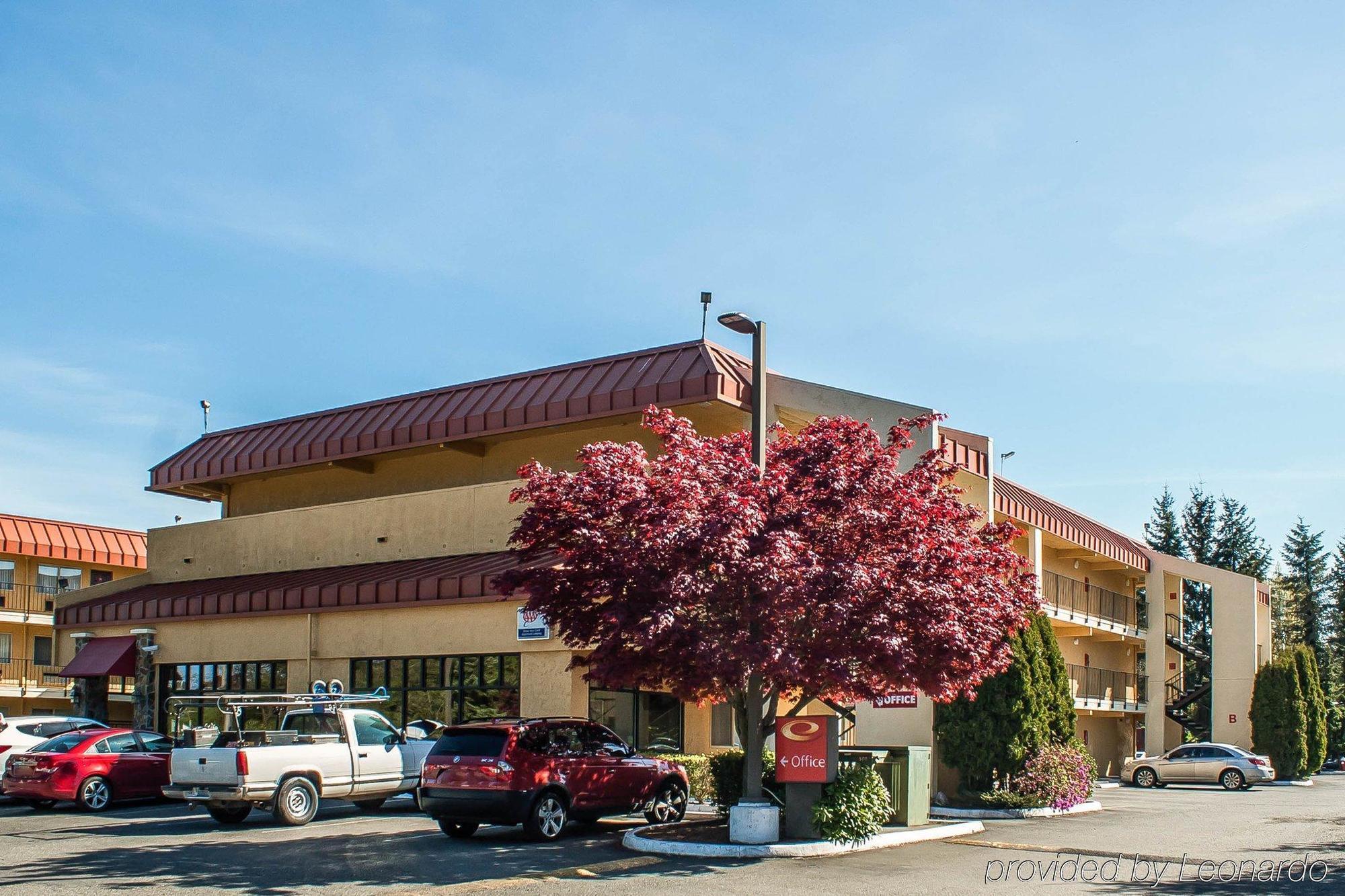 בלינגהאם Morningglory Inn & Suites מראה חיצוני תמונה